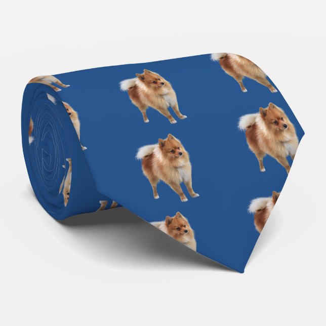 Pomeranian Neck Tie (Rolled)