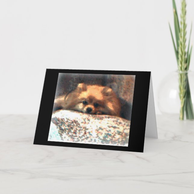 Pomeranian Notecard (Front)