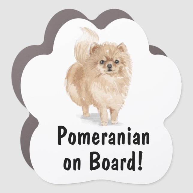 Pomeranian on Board Car Magnet (Front)