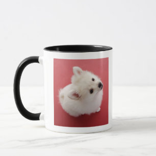 Pomeranian on the Red Carpet Mug