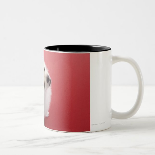 Pomeranian on the Red Carpet Two-Tone Coffee Mug (Right)