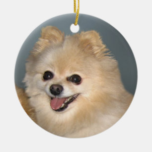 Pomeranian Ornament