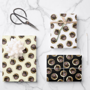 Pomeranian Painting Orange Sable Original Dog Art Wrapping Paper Sheets