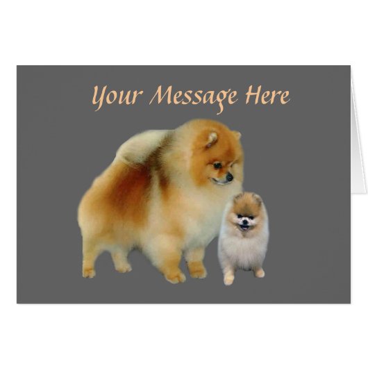 Pomeranian Pals Greetng Card (Front Horizontal)