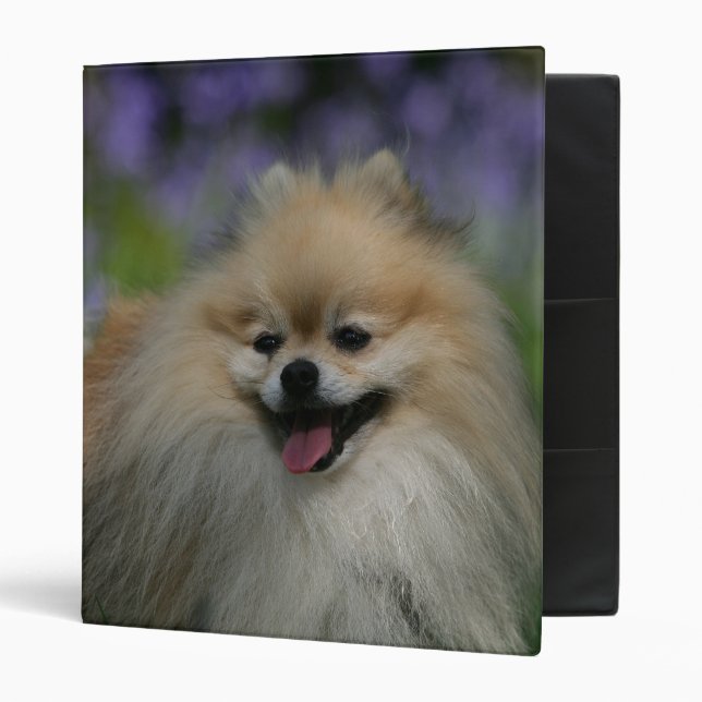 Pomeranian Panting Binder (Front/Inside)