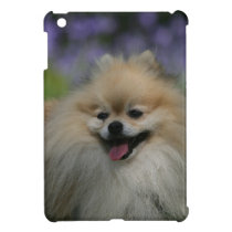 Pomeranian Panting iPad Mini Cover