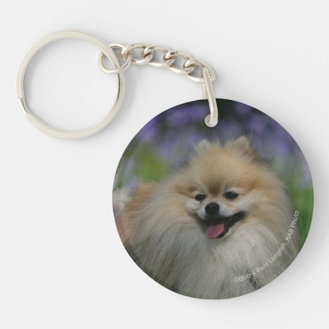 Pomeranian Panting Keychain (Front)
