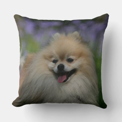 Pomeranian Panting Throw Pillow