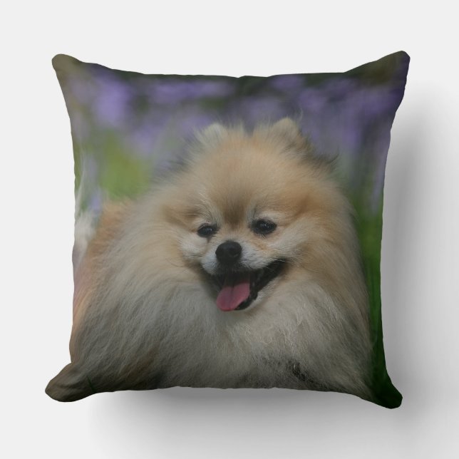 Pomeranian Panting Throw Pillow (Front)