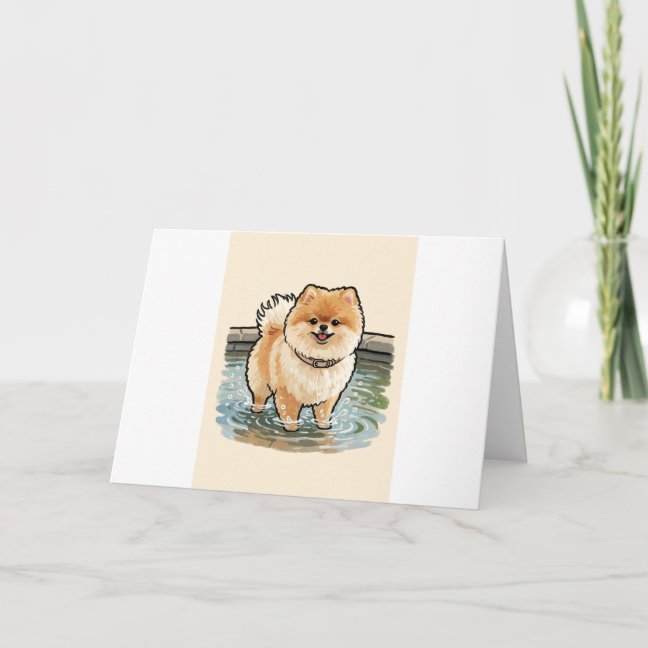 Pomeranian Collection — preview