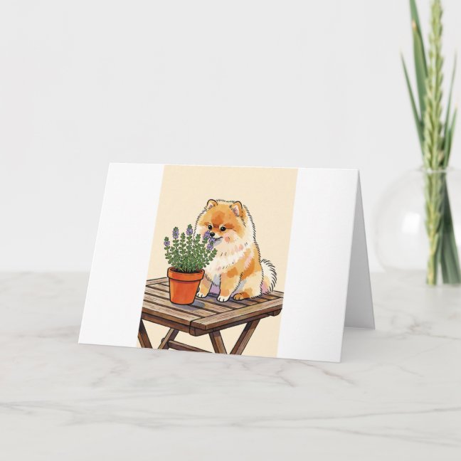 Pomeranian Patio Herb Sniff Greeting Card