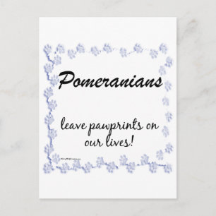 Pomeranian Pawprints Postcard