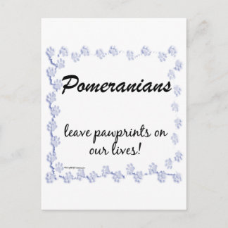 Pomeranian Pawprints Postcard