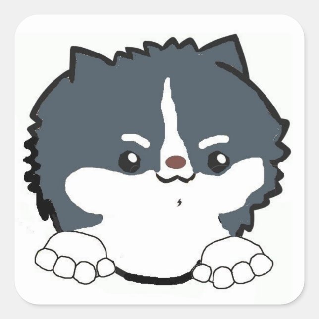 pomeranian peeking tri colored square sticker (Front)
