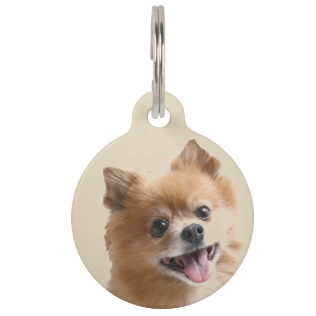 Pomeranian Pet ID Tag (Front)