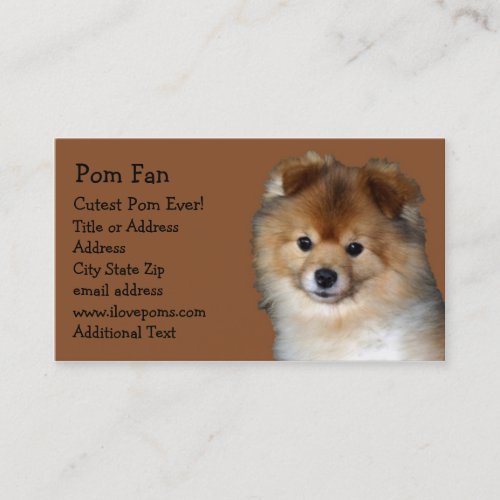 Pomeranian Photo Business Card