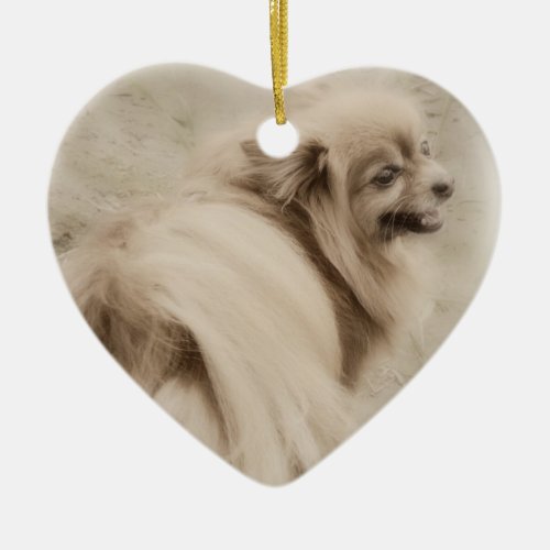 Pomeranian Photo _ Dreamy Pom Ceramic Ornament