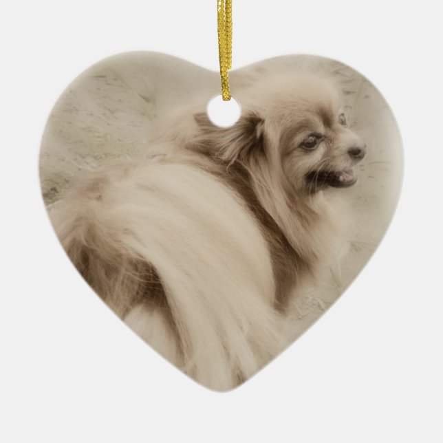Pomeranian Photo - Dreamy Pom Ceramic Ornament (Front)