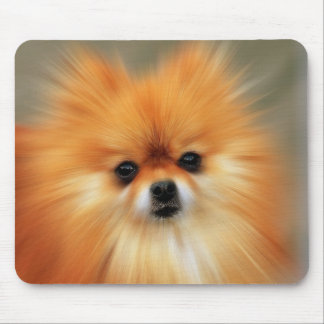 Pomeranian Photography Zoom Speed Art Portrait Mouse Pad