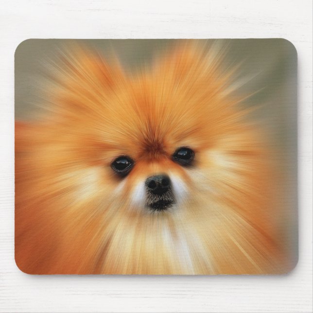 Pomeranian Photography Zoom Speed Art Portrait Mouse Pad (Front)