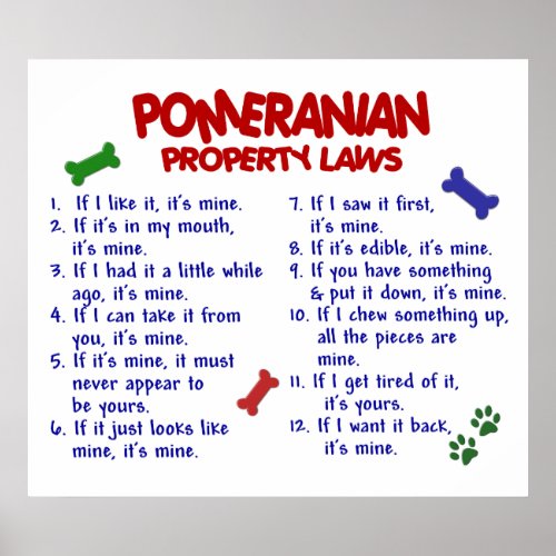 POMERANIAN PL2 POSTER