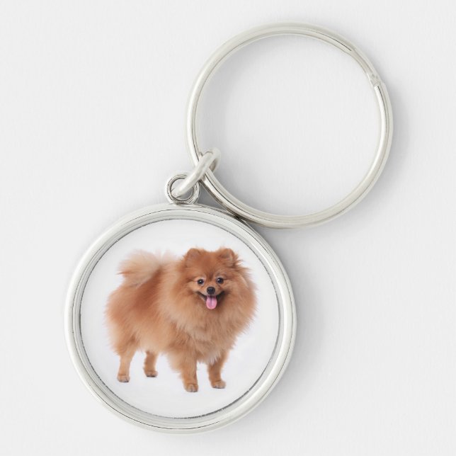 Pomeranian Pom Pom Puppy Dog Keychain (Front)