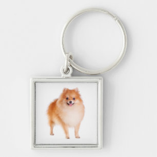 Pomeranian Pom Pom Puppy Dog Keychain