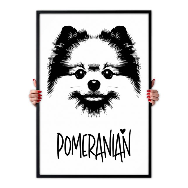 Pomeranian Pop Art Black & White Chic Aesthetic Poster (Pomeranian Pop Art Black & White Chic Aesthetic Poster)