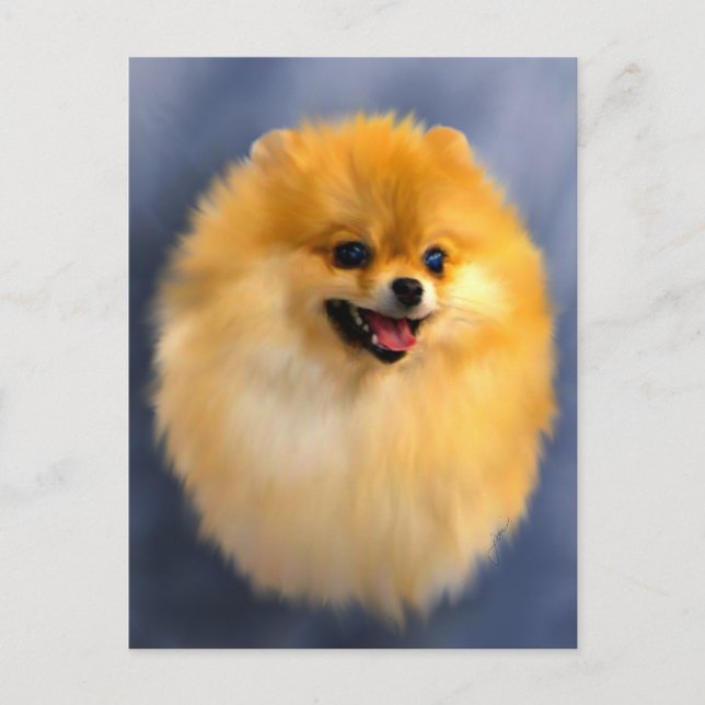 Pomeranian Portrait Postcard (Front)