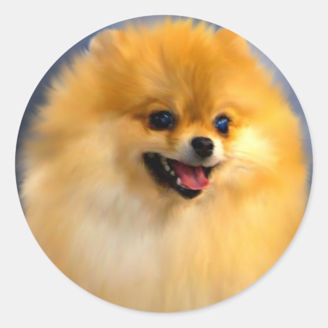 Pomeranian Portrait Stickers (Front)