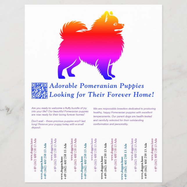 Pomeranian Puppies  Flyer (Front)