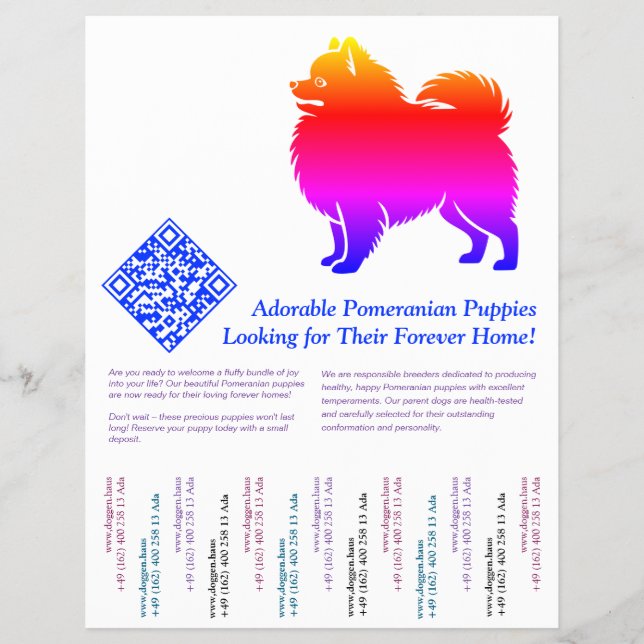 Pomeranian Puppies  Flyer (Front)