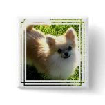 Pomeranian Puppies Pin