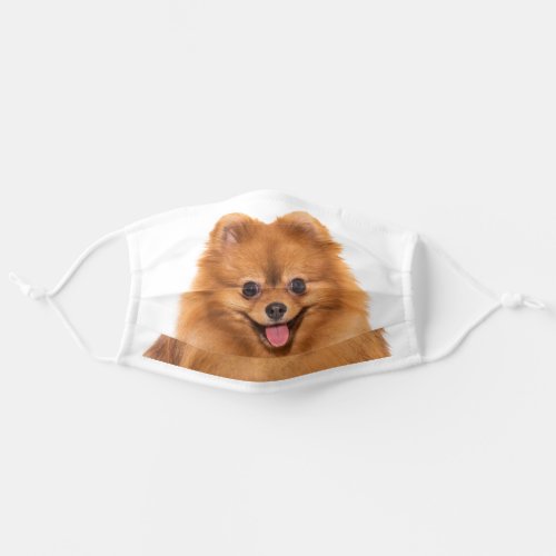 Pomeranian Puppy Adult Cloth Face Mask