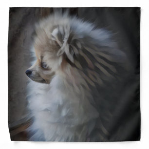 Pomeranian Puppy Bandana