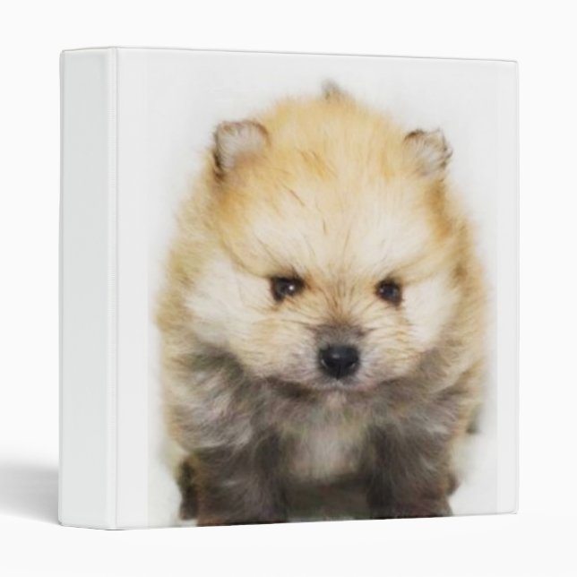 Pomeranian puppy binder (Front/Spine)