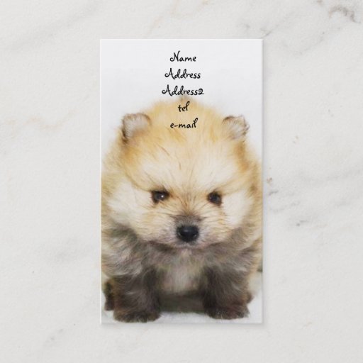 Customizable Pomeranian puppy business card