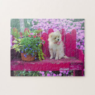 Pomeranian Puppy Dog on Cottage Garden Bench Jigsaw Puzzle