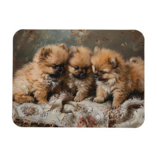 Pomeranian Puppy Trio Vintage Flexible Magnet