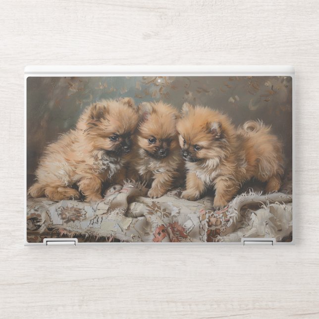 Pomeranian Puppy Trio Vintage HP Laptop Skin (Front)