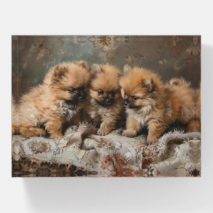 Pomeranian Puppy Trio Vintage Paperweight