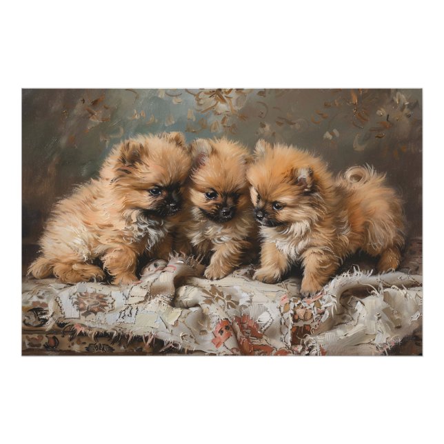 Pomeranian Puppy Trio Vintage Photo Print (Front)