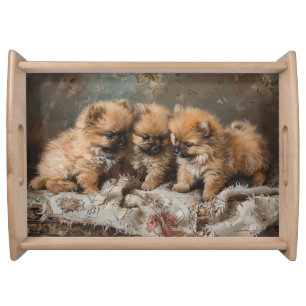 Pomeranian Puppy Trio Vintage Serving Tray