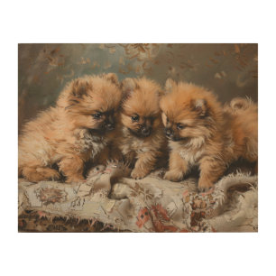 Pomeranian Puppy Trio Vintage Wood Wall Art