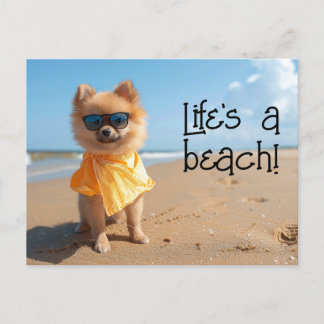 Pomeranian Puppy wearing sunglasses postcard