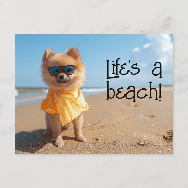 Pomeranian Puppy wearing sunglasses postcard (Front)