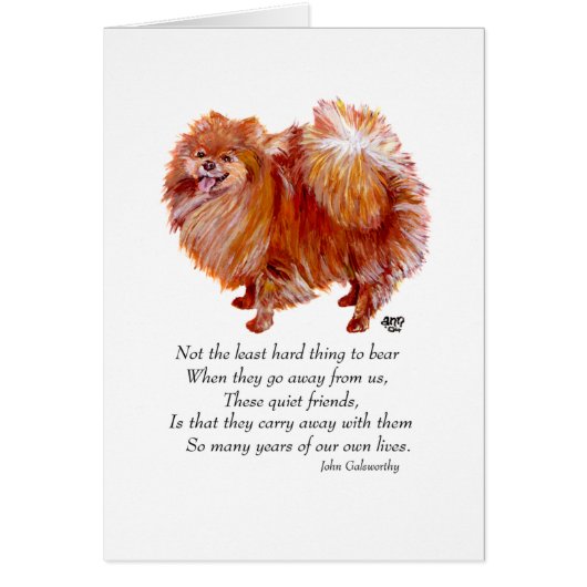 Pomeranian Rainbow Bridge Cards (Front)