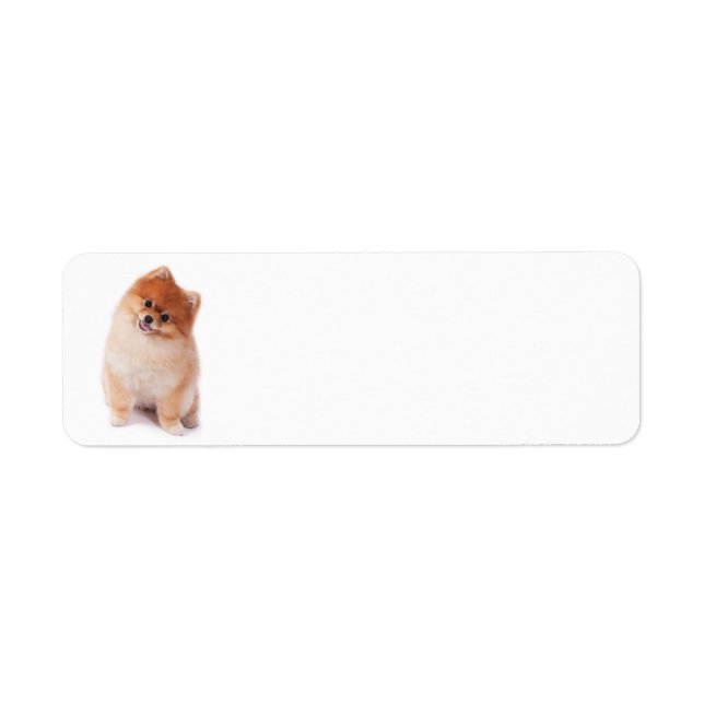 Pomeranian Return Address Label (Front)