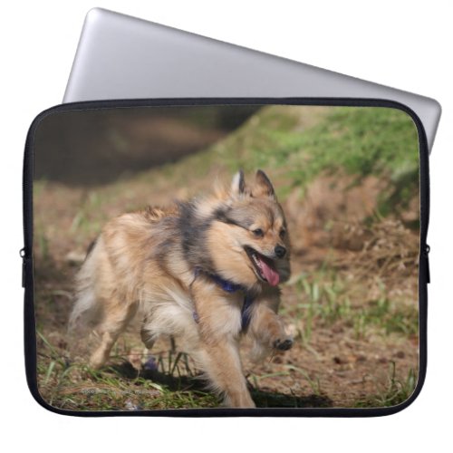 Pomeranian Running with Harness on Laptop Sleeve
