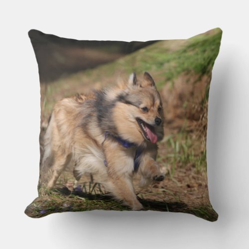 Pomeranian Running with Harness on Throw Pillow